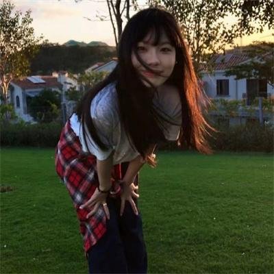 呆呆计划